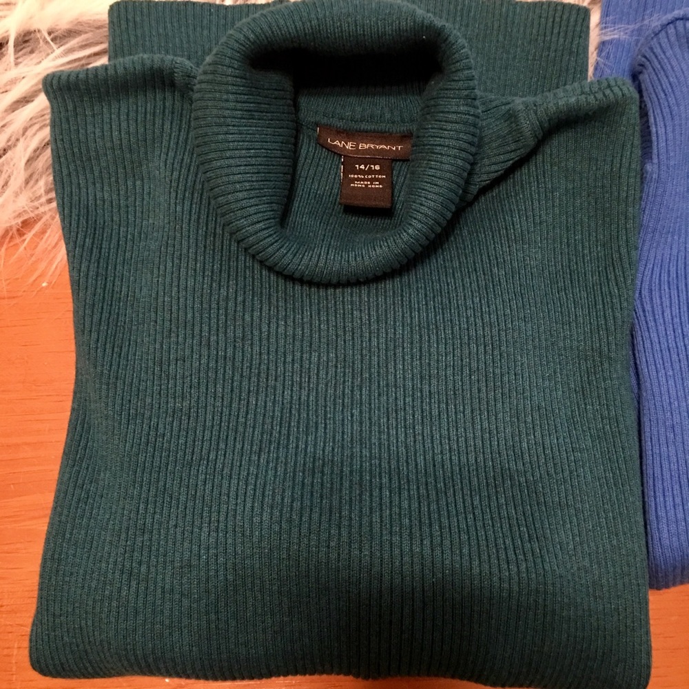π· Lane Bryant Bundle π· - Picture 2 of 6